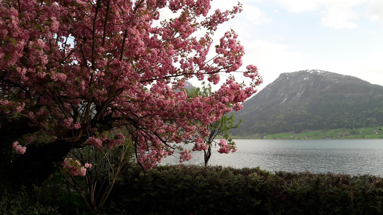 Aberseeblick Pension Ellmauer Sankt Wolfgang im Salzkammergut Екстер'єр фото